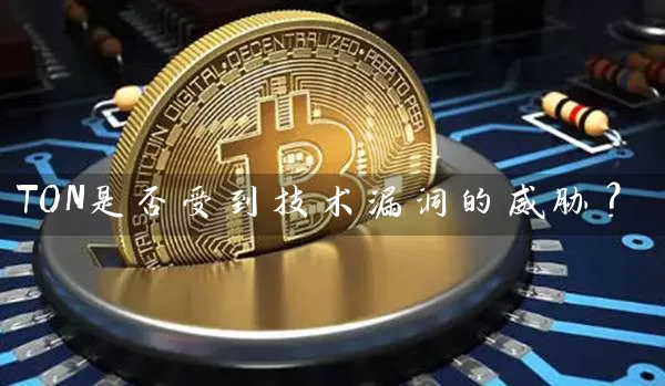TON是否受到技术漏洞的威胁？