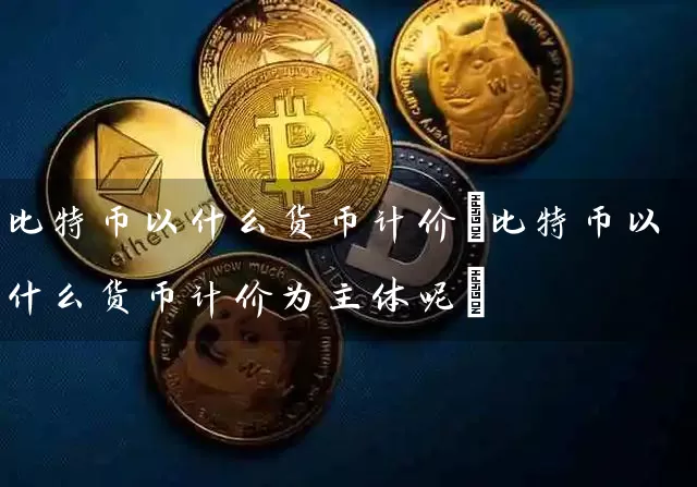 比特币以什么货币计价(比特币以什么货币计价为主体呢)