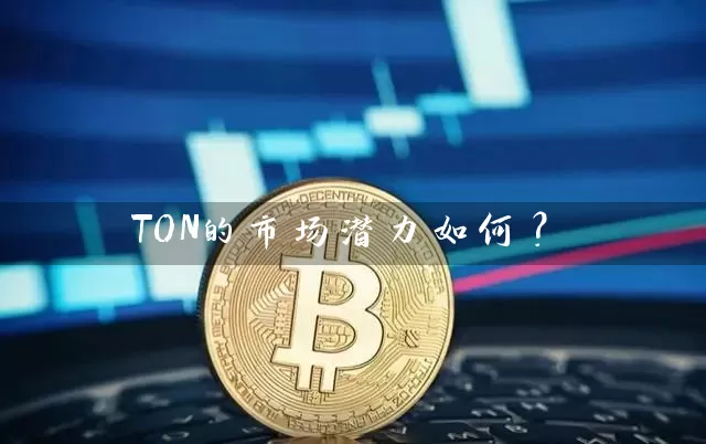 TON的市场潜力如何？