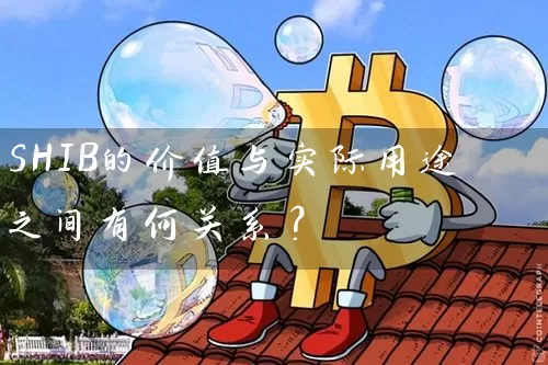 SHIB的价值与实际用途之间有何关系？