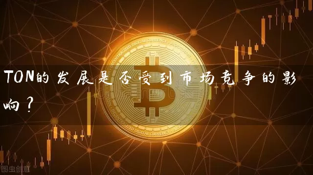 TON的发展是否受到市场竞争的影响？