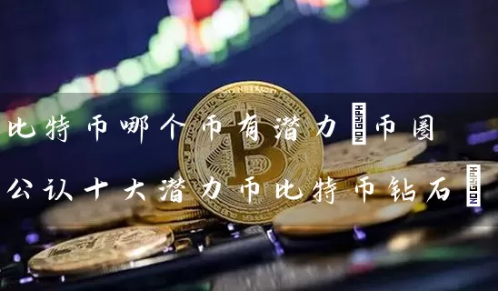 比特币哪个币有潜力(币圈公认十大潜力币比特币钻石)