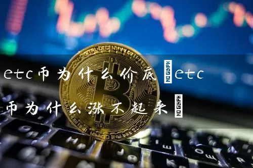etc币为什么价底(etc币为什么涨不起来)