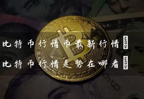 比特币行情币最新行情(比特币行情走势在哪看)