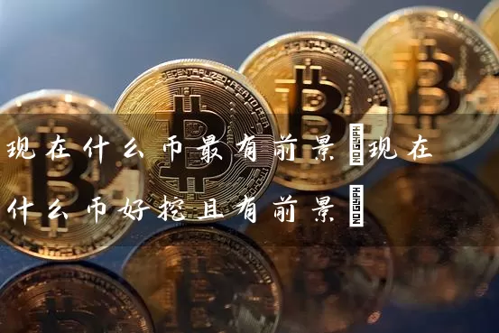 现在什么币最有前景(现在什么币好挖且有前景)