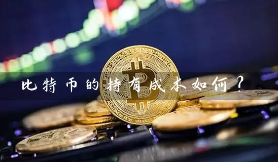 比特币的持有成本如何？