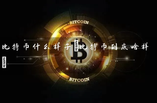 比特币什么样子(比特币到底啥样)