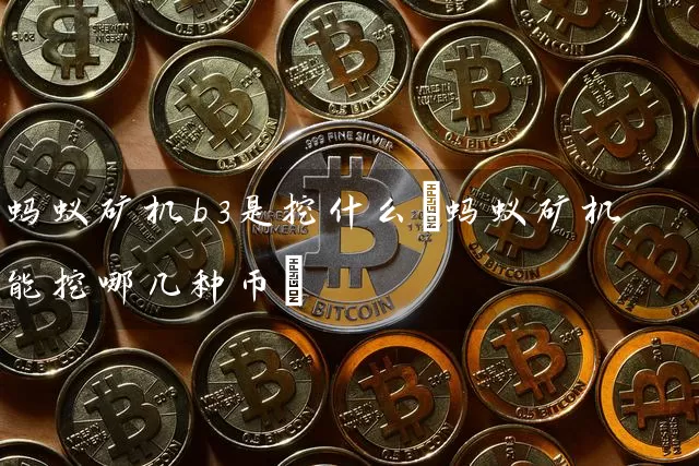 蚂蚁矿机b3是挖什么(蚂蚁矿机能挖哪几种币)