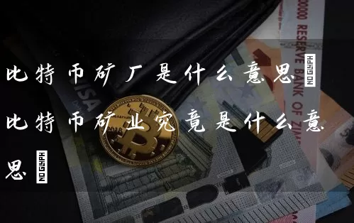 比特币矿厂是什么意思(比特币矿业究竟是什么意思)