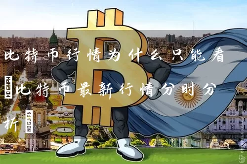 比特币行情为什么只能看(比特币最新行情分时分析)