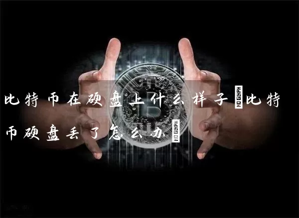 比特币在硬盘上什么样子(比特币硬盘丢了怎么办)
