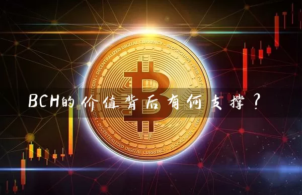 BCH的价值背后有何支撑？