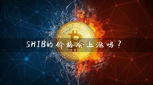 SHIB的价格会上涨吗？