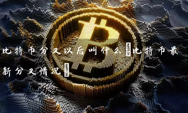 比特币分叉以后叫什么(比特币最新分叉情况)