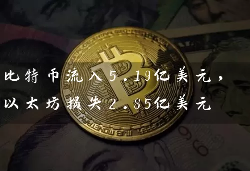 比特币流入5.19亿美元，以太坊损失2.85亿美元