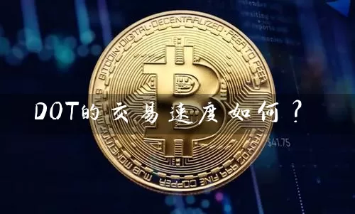 DOT的交易速度如何？