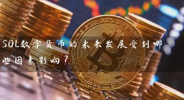 SOL数字货币的未来发展受到哪些因素影响？