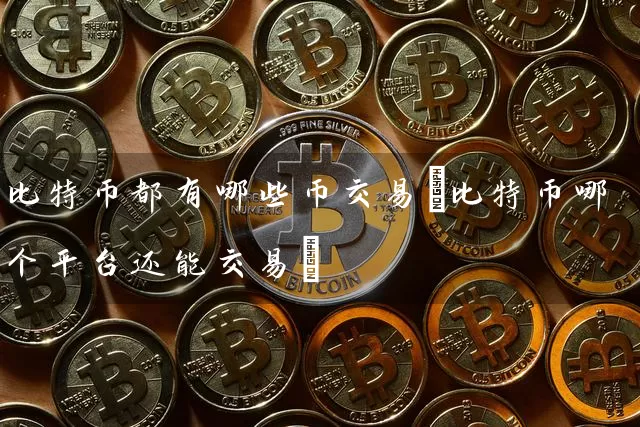 比特币都有哪些币交易(比特币哪个平台还能交易)