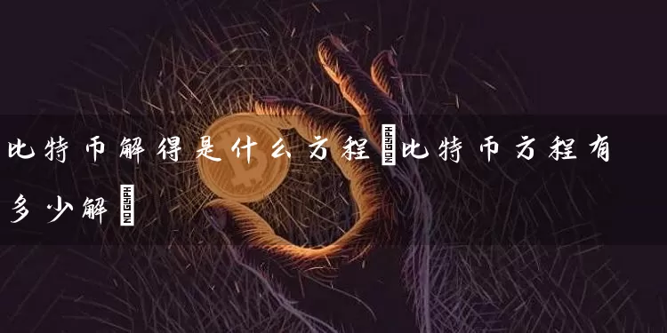 比特币解得是什么方程(比特币方程有多少解)