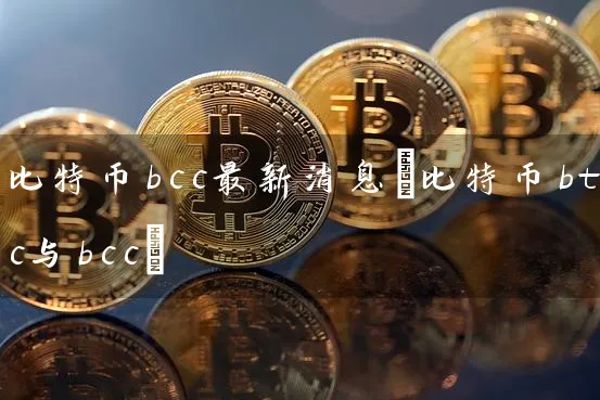 比特币bcc最新消息(比特币btc与bcc)