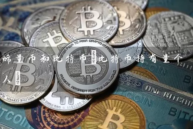烯量币和比特币(比特币持有量个人)