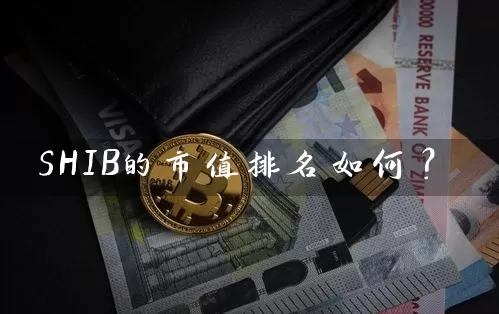 SHIB的市值排名如何？