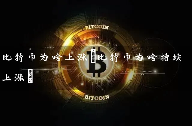 比特币为啥上涨(比特币为啥持续上涨)