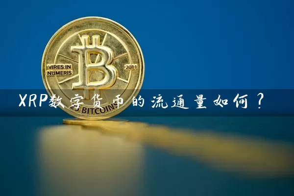 XRP数字货币的流通量如何？
