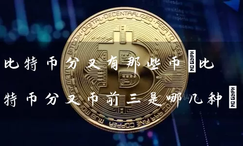 比特币分叉有那些币(比特币分叉币前三是哪几种)