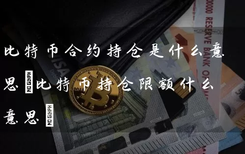 比特币合约持仓是什么意思(比特币持仓限额什么意思)