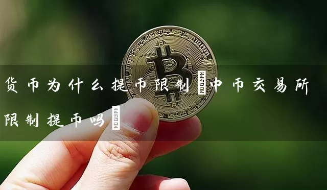 货币为什么提币(中币交易所提币吗)