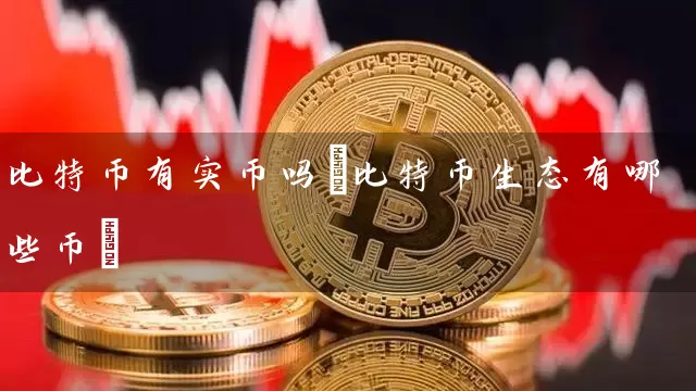 比特币有实币吗(比特币生态有哪些币)