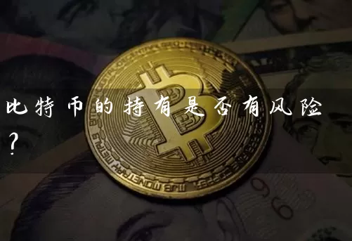 比特币的持有是否有风险？