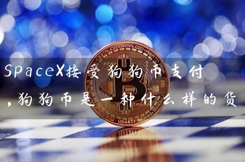 SpaceX接受狗狗币支付,狗狗币是一种什么样的货币