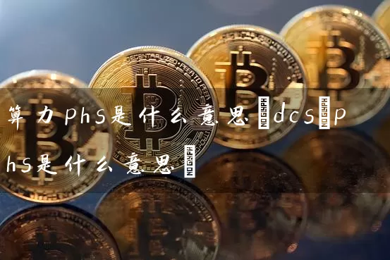 算力phs是什么意思(dcs/phs是什么意思)