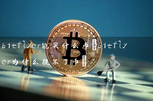 bitflyer能买什么币(bitflyer为什么提不了币)