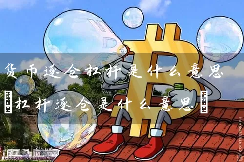 货币逐仓杠杆是什么意思(杠杆逐仓是什么意思)