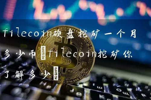 filecoin硬盘挖矿一个月多少币(filecoin挖矿你了解多少)