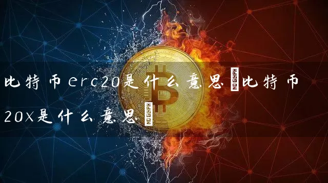 比特币erc20是什么意思(比特币20x是什么意思)