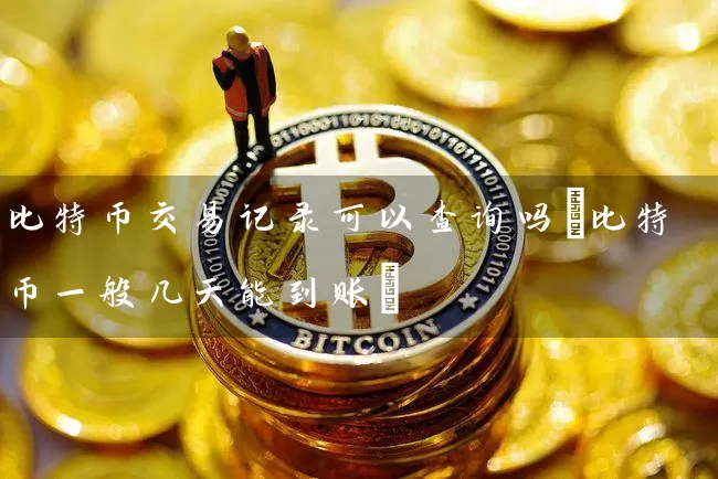 比特币交易记录可以查询吗(比特币一般几天能到账)