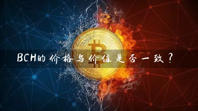 BCH的价格与价值是否一致？