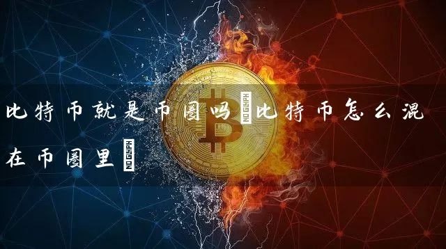 比特币就是币圈吗(比特币怎么混在币圈里)