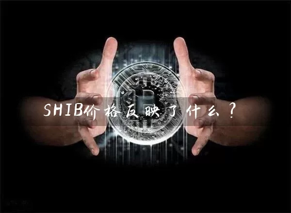 SHIB价格反映了什么？