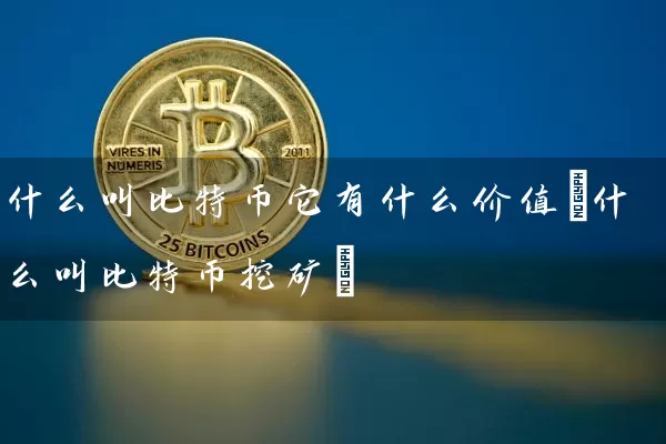 什么叫比特币它有什么价值(什么叫比特币挖矿)
