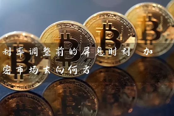 利率调整前的屏息时刻 加密市场去向何方