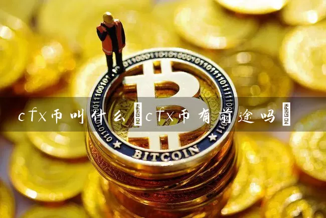 cfx币叫什么(cfx币有前途吗)