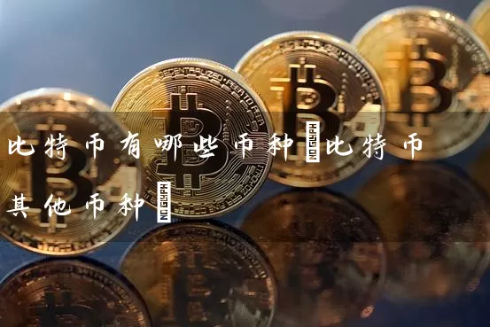 比特币有哪些币种(比特币其他币种)