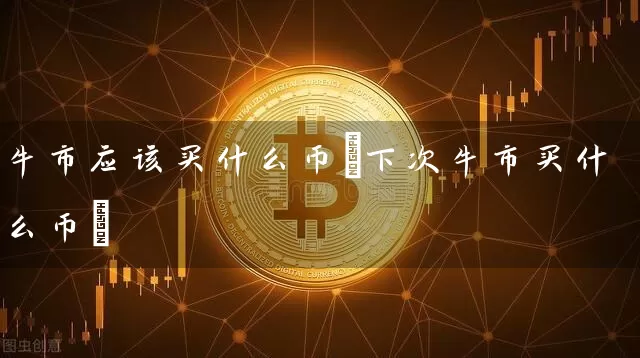 牛市应该买什么币(下次牛市买什么币)