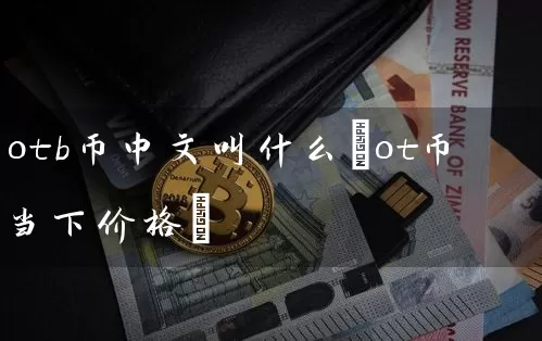 otb币中文叫什么(ot币当下价格)