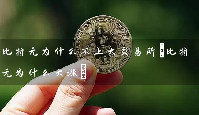 比特元为什么不上大交易所(比特元为什么大涨)